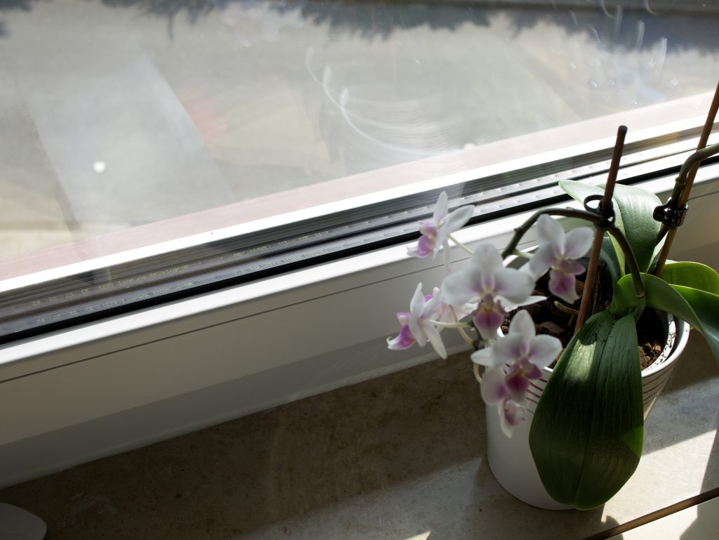 Modernisiertes Fenster mit dreifachverglasung und Blume davor