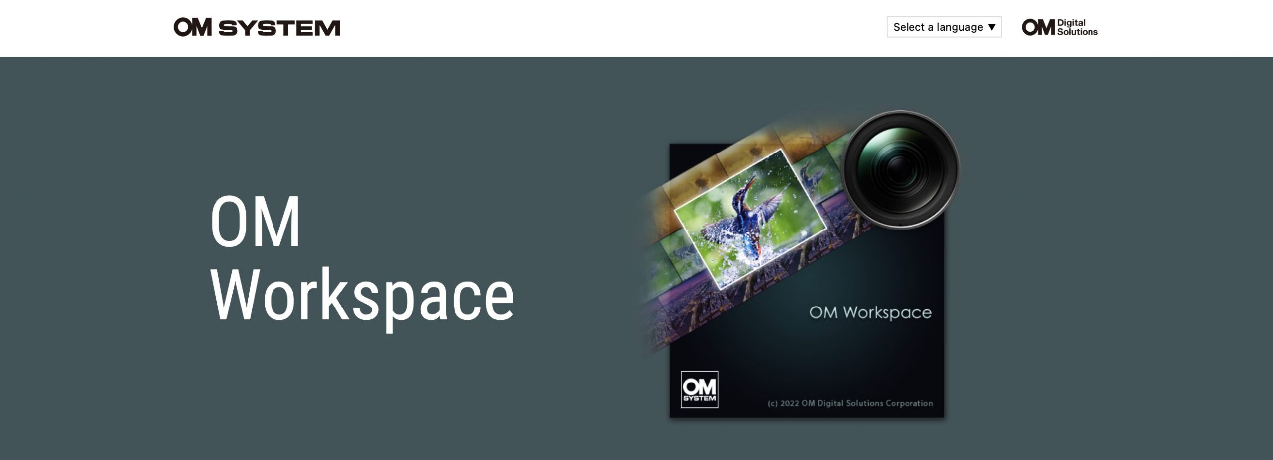 Focus Stacking mit OM-5 und OM Workspace