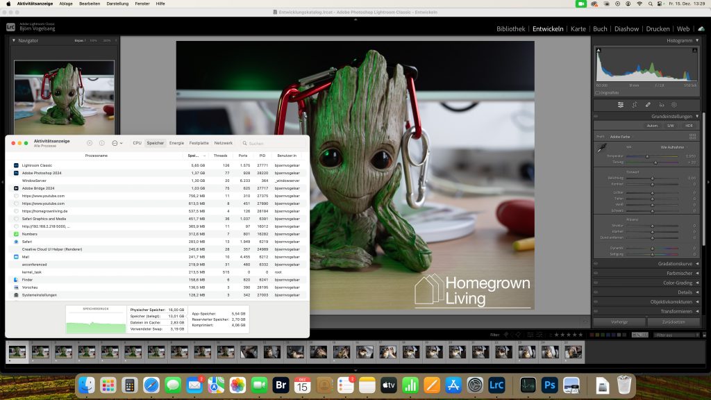 iMac M1 mit Lightroom und Photoshop